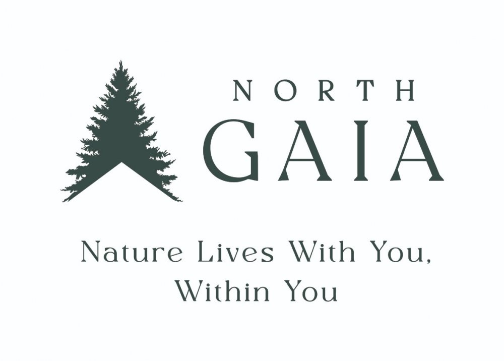 North Gaia - Sing Holdings